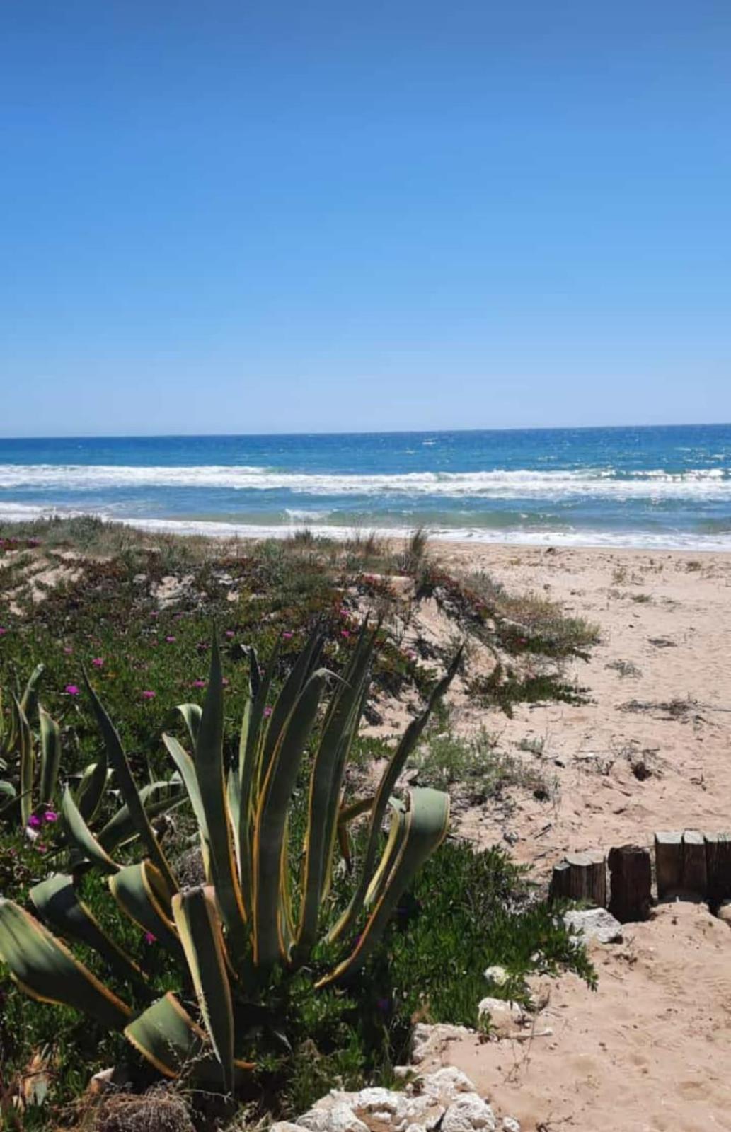 Mediterraneo Casa Vacanze -Sicilia 100 Mt Dal Mare Menfi Luaran gambar